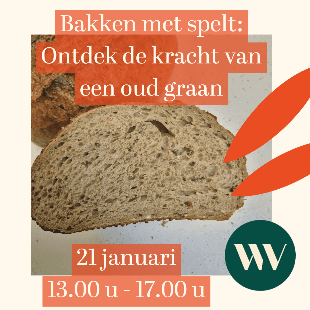 workshops-bakken-pagina-1(18)_optimized Bakken met spelt - ontdek de kracht van een oergraan - Afbeelding 1